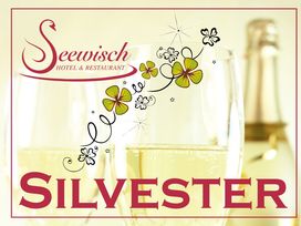 Silvesterfeier am Schweriner See