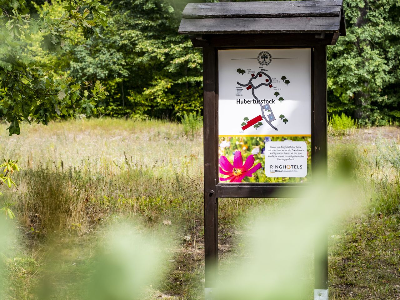 Natur Pur in der Schorfheide: 3 Tage Alltags-Detox