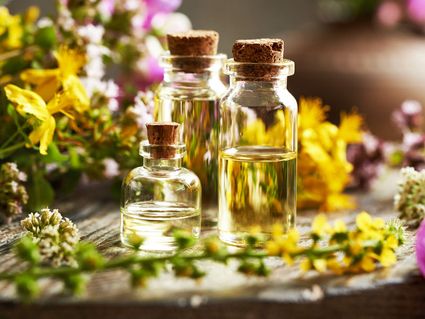 Erlebnisurlaub auf dem Darß-4 Tage inkl. 1 Abendessen