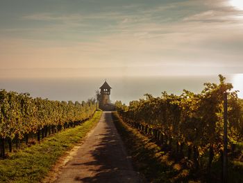 Herbstsonne tanken am Bodensee