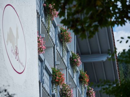 Bannwaldsee Hotel