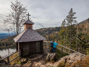 Gipfelstürmer: der weltweit längste Baumwipfelpfad!