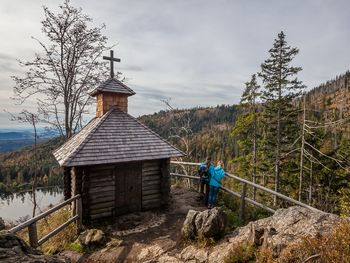 Erleben Sie halbstarke Bären und den Baumwipfelpfad