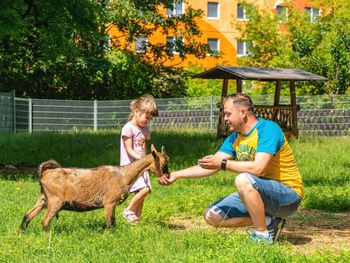 5 Tage Herbsturlaub am Lübbesee in Brandenburg