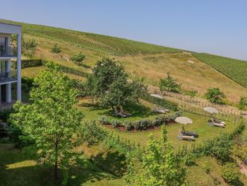 Zeit für Freundinnen im Schwarzwald - 4 Tage