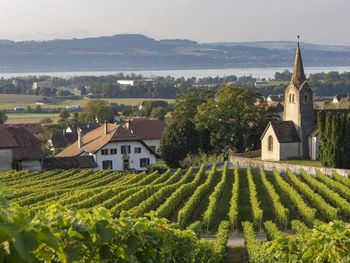 6 Tage Im Herzen des Waadtländer Jura mit Frühstück