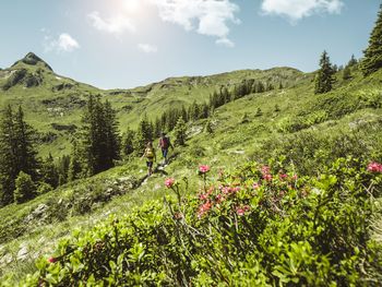 Wanderurlaub mit Bergbahn-Nutzung, Wellness & 5-Gang-Menü im Salzburger Land
