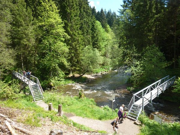 3 Tage Frühlingssonne & Tannenwipfelduft in Bonndorf im Schwarzwald, Baden-Württemberg inkl. Halbpension