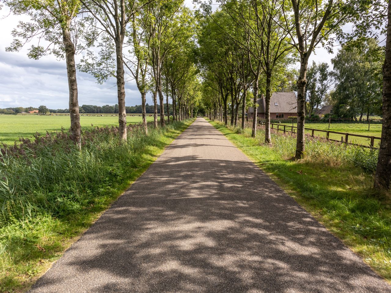 6 Tage in der Nähe der Veluwe