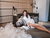 4 Wellnesstage im Biohotel mit hoteleigener Therme und Massagepaket