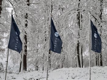 6 Tage Kurzurlaub im Naturparadies Arnsberg