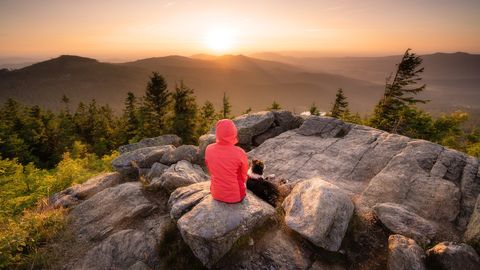 Bayerischer Wald 
