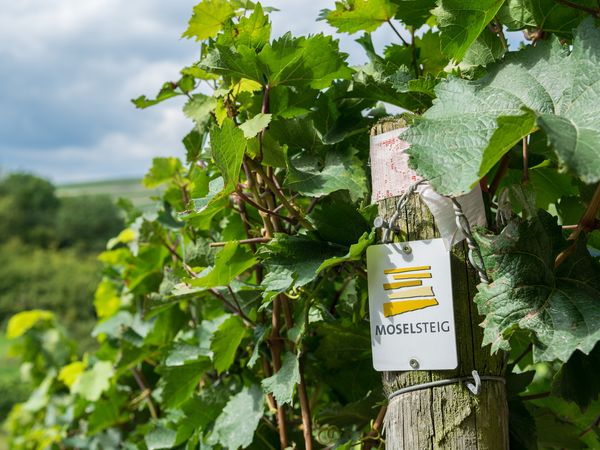 6 Tage – Mit Sack & Pack an die Mosel in Löf Frühstück
