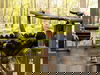 2 Tage im Dorint Hotel An der Messe Köln