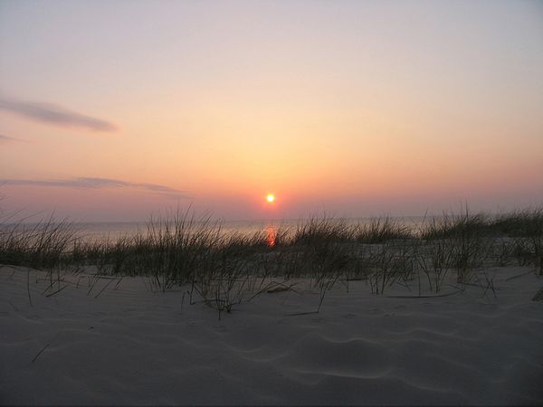 2 Tage im Hotel Zuiderduin mit Frühstück Hotel Zuiderduin in Egmond aan Zee, Nordholland (Noord-Holland) inkl. Frühstück