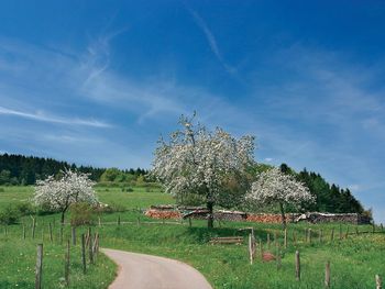 Wandern auf dem Uplandsteig - 3 Tage im Sauerland