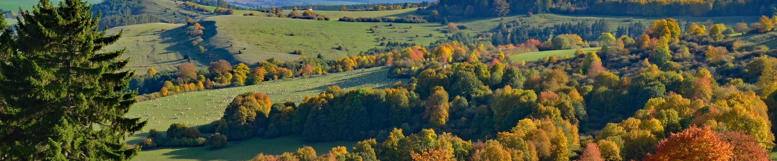 Thueringer Rhön