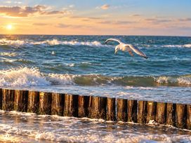 Ostsee-Gourmet-Auszeit für 6 Tage Ostsee-Urlaub