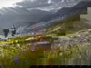ALPINE Wellness - 3 Nächte