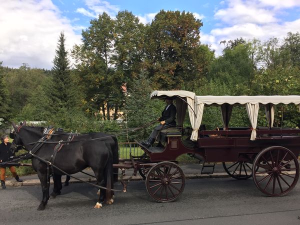 3 Tage Kuschelzeit im Wald in Kahla, Thüringen inkl. Halbpension