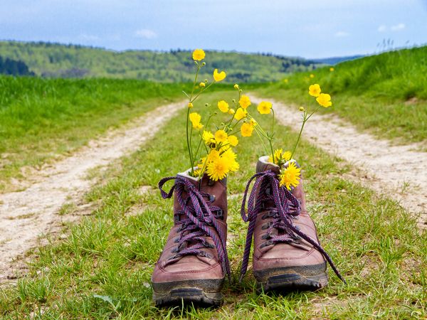 4 Tage im schönen Burgenland in Rust inkl. Frühstück