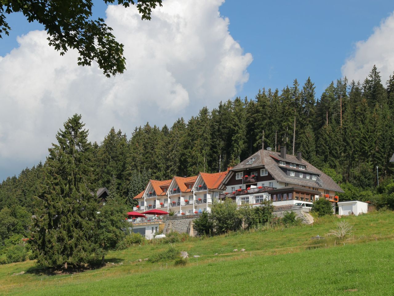 Erholsame Auszeit im Schwarzwald I 6 Tage