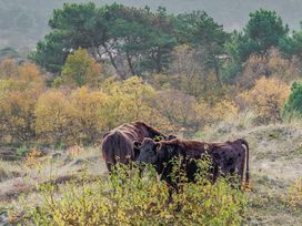 4 Tage Erholung zwischen Dünen und Nordseeküste