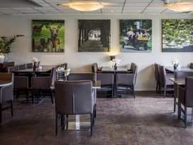 3 Tage Waldhotel in Brabant – Ruhe & Natur erleben