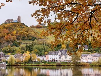 Familienurlaub an der Mosel I 3 Tage Bernkastel-Kues
