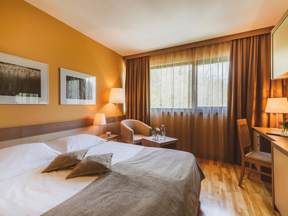 Doppelzimmer Standard Wald Seite