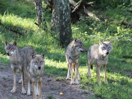 4 Tage Erholung am See in Güstrow