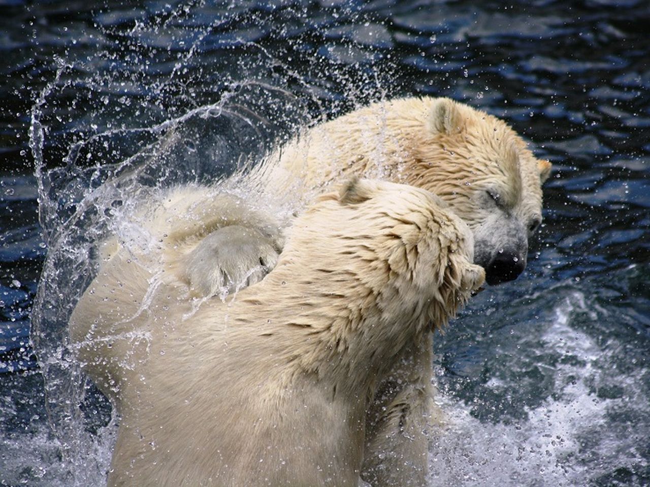 Tierpark Hellabrunn - 5 Tage Weltstadt München