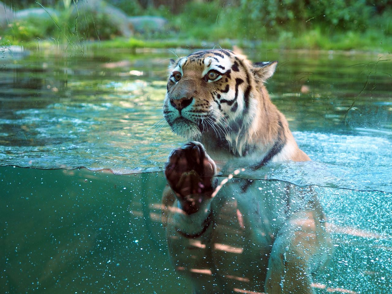 2 Tage Freizeitspaß im Leipziger Zoo für die Familie