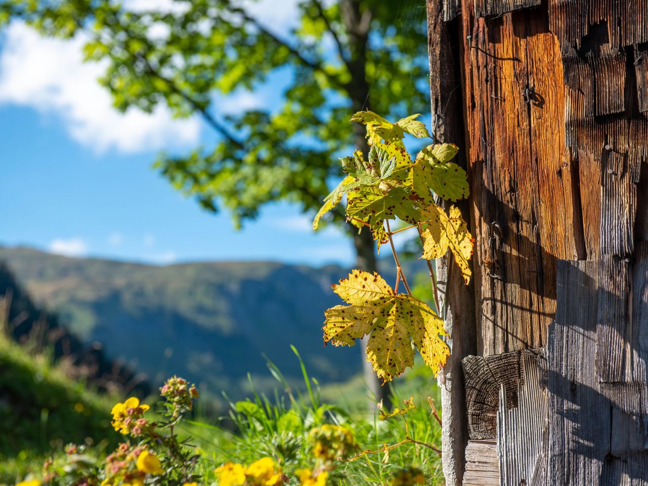 Familienzeit im Bregenzerwald