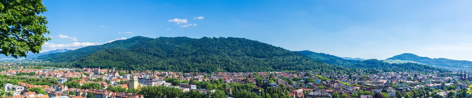 Panorama über die Dächer von Freiburg mit bewaldeten Schwarzwaldhügeln im Hintergrund