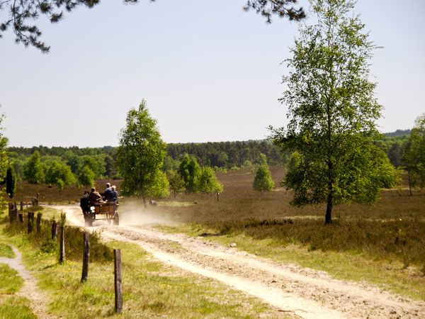 2 Tage Kurztrip in die Heide in Bispingen, Niedersachsen inkl. Halbpension