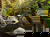 All Inclusive Auszeit im malerischen Harz