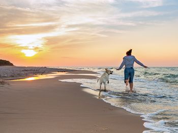 Kurztrip mit dem Hund an die Nordsee