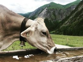 Dein Radl-Glück im Allgäu - Bike, Eat, Sleep & Repeat