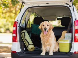 3 Tage Urlaub mit Hund