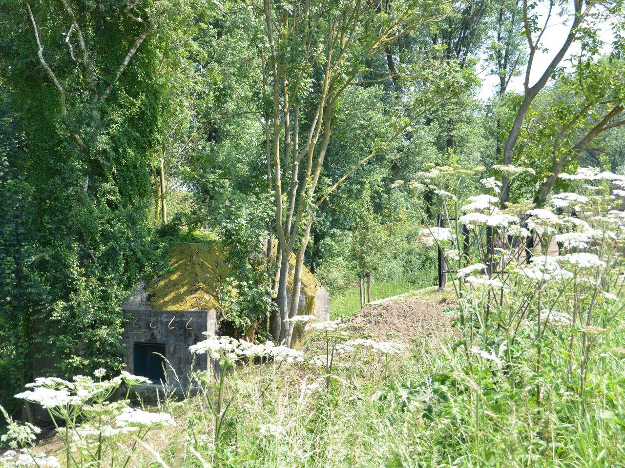 3 Tage Raderlebnis entlang des Ufers der Linge