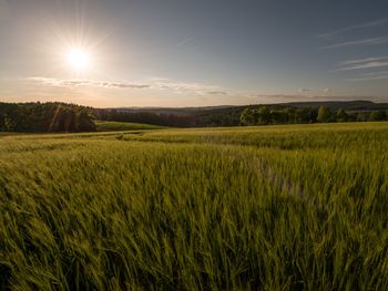 5 Tage Auszeit zwischen Oberpfalz & Bayerischem Wald