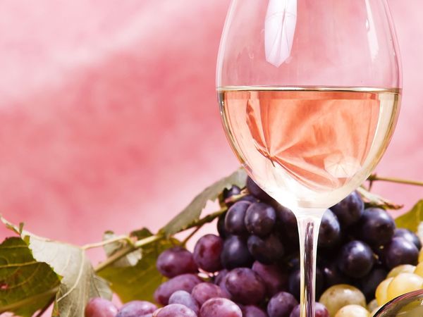 3 Tage kleine Auszeit im Burgen- & Weinland inkl. HP+ in Nebra (Unstrut) Halbpension Plus