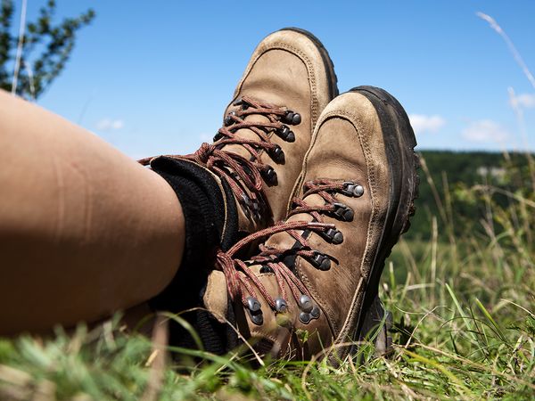 Auf Schusters Rappen-Wanderkurztrip im Fläming & HP+ in Niemegk Halbpension Plus