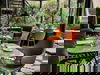 3 Tage Entspannung in Amsterdam