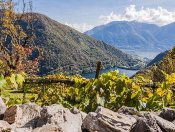 4 Tage im Kumbichlhof - Ihr Refugium im Zillertal