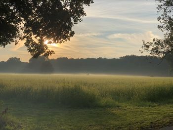 Glücksmomente Erleben in der Heide