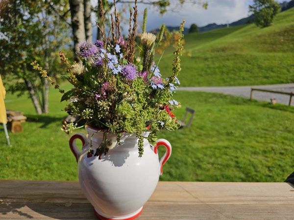 3 Tage Wanderzeit im Allgäu mit Lunchpaket & Wellness in Isny im Allgäu, Baden-Württemberg inkl. Halbpension