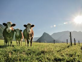 4 Tage Hoch hinaus über Bayerns Berge im Chiemgau