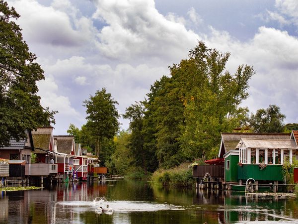 5 Tage UrlaubsTräume inkl. HP Plus Hotel Am Tierpark in Güstrow, Mecklenburg-Vorpommern inkl. Halbpension Plus